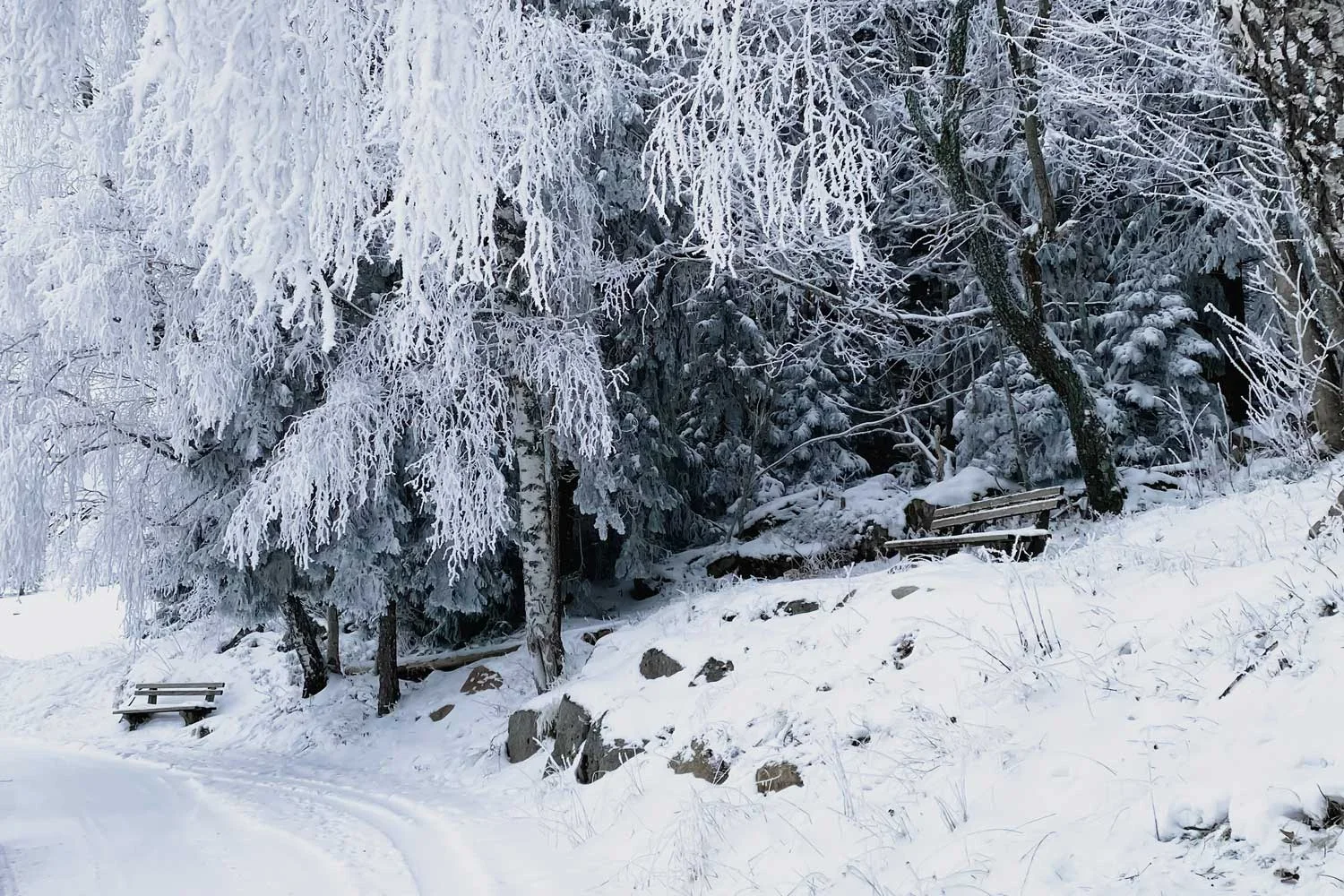 Holzbank in verschneiter Landschaft